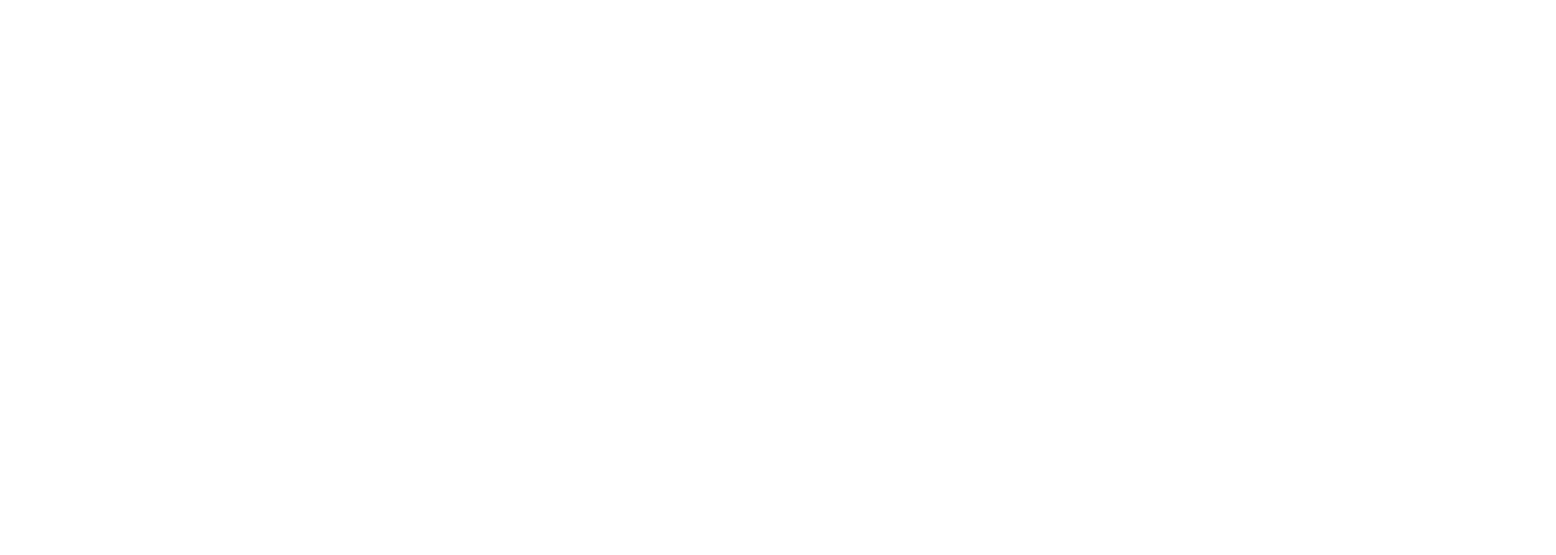 The Blind Guys